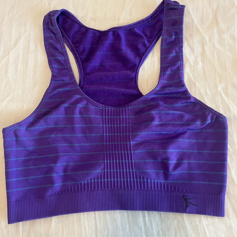 Purple Striped Sports Bra